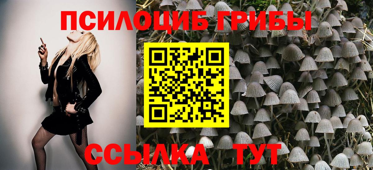 Приморско-Ахтарск  Галлюциногенные грибы Magic Shrooms  Псилоцибиновые грибы мухоморы  Вход с VPN 